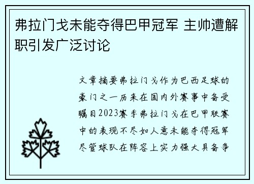弗拉门戈未能夺得巴甲冠军 主帅遭解职引发广泛讨论